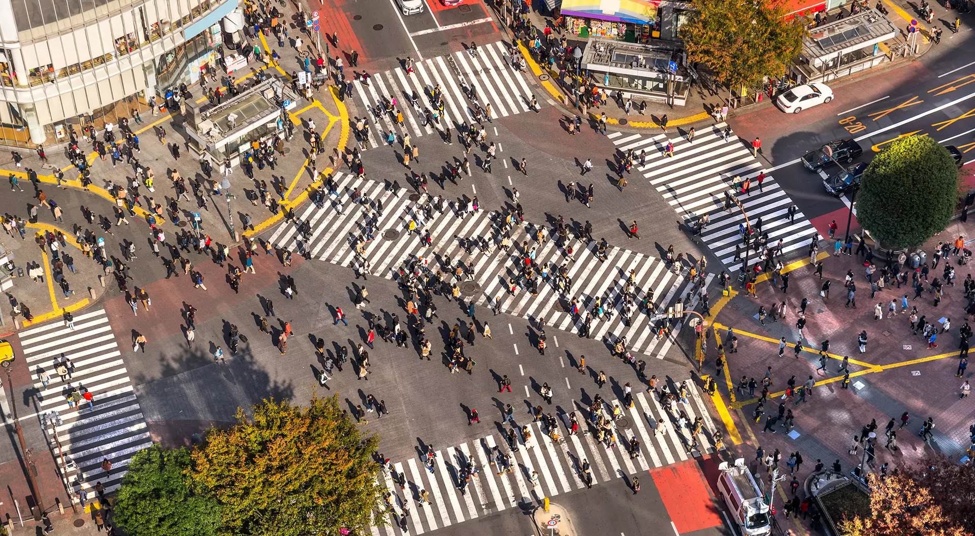 Shibuya Crossing Shibuya Crossing
