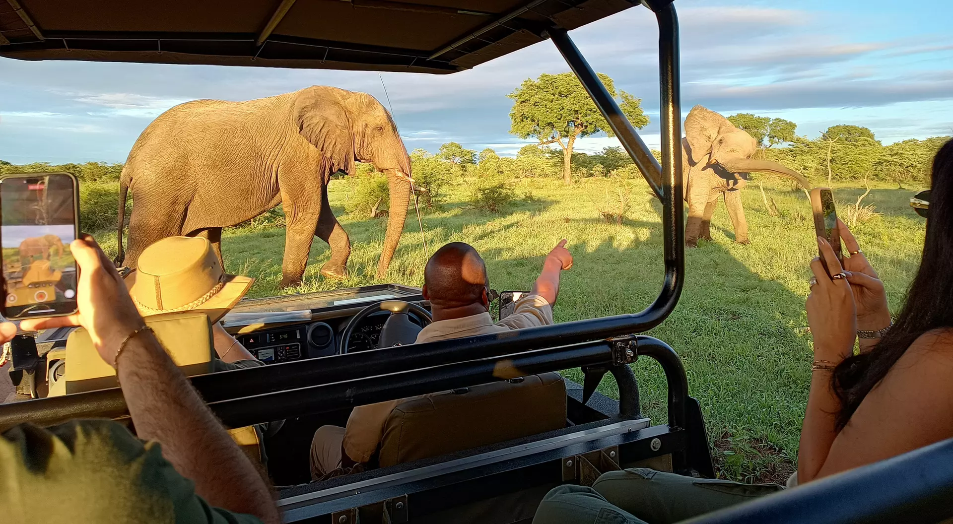 South Africa Safari