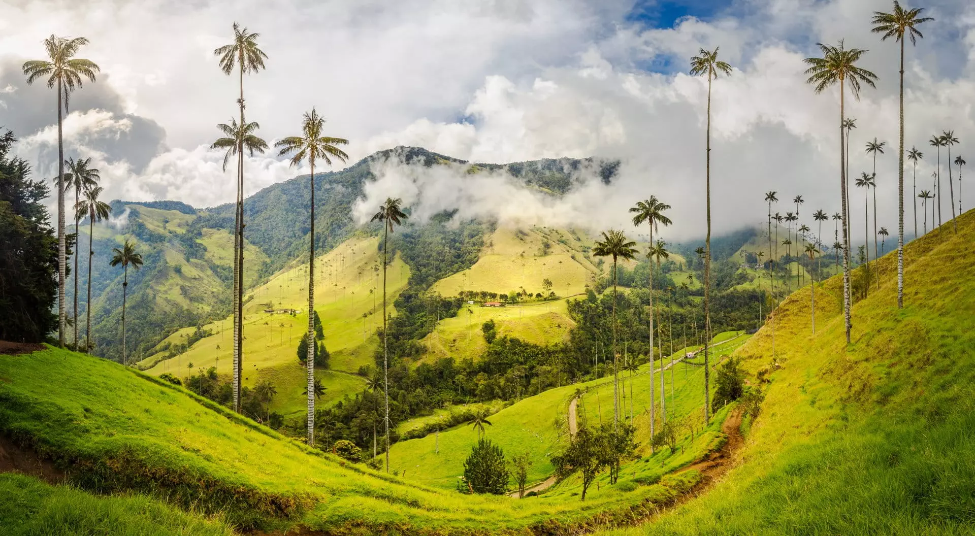 South America