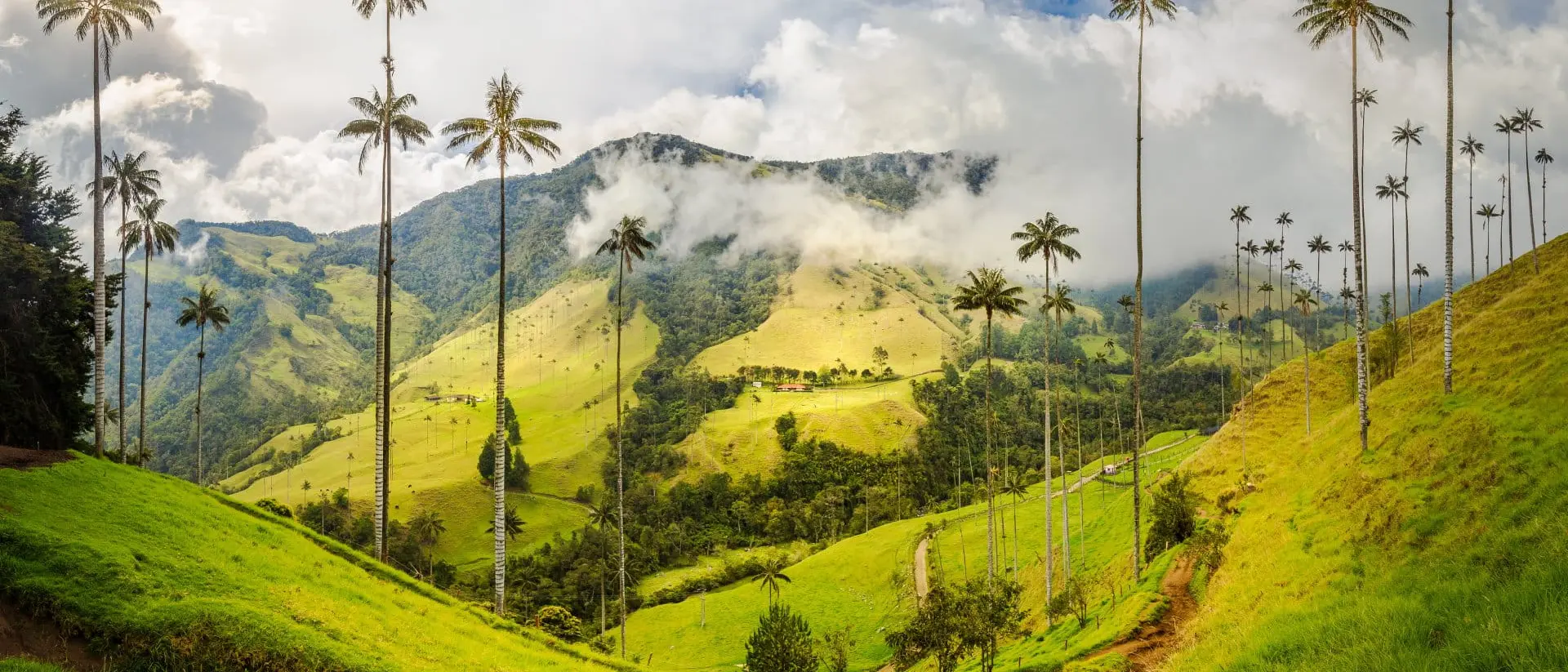 South America