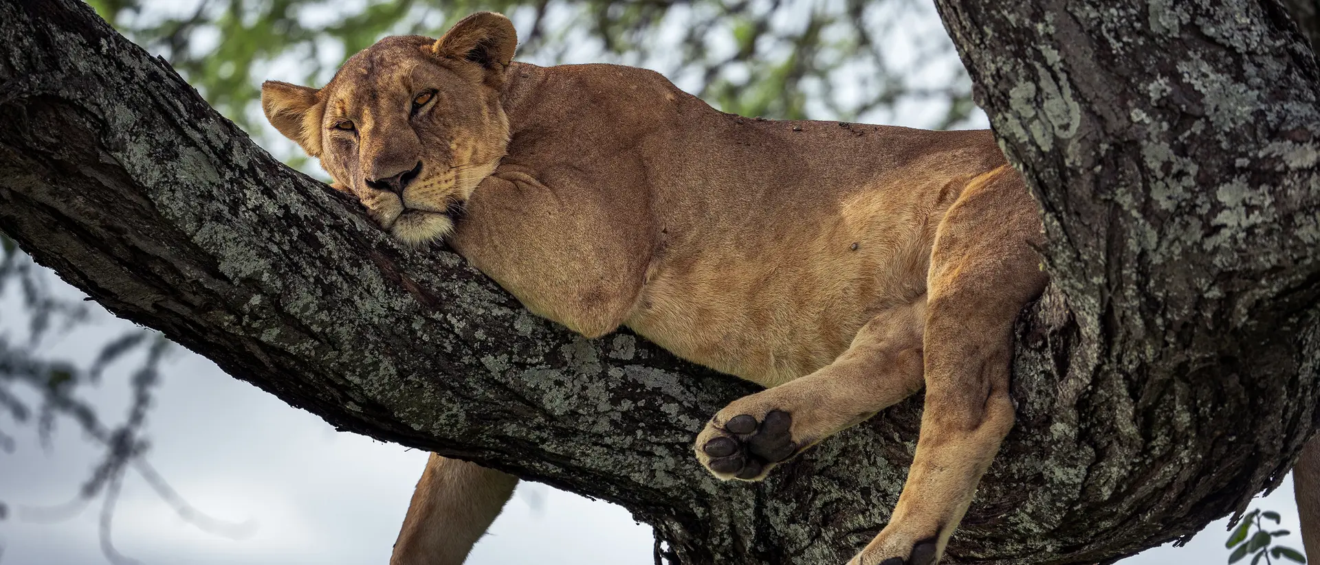 Tarangire National Park