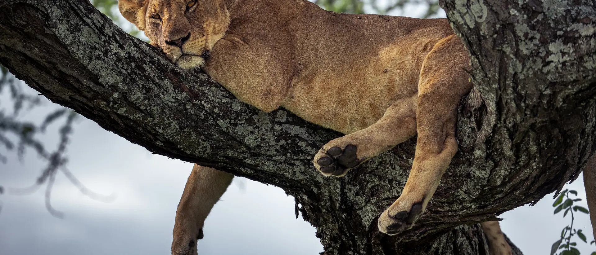 Tarangire National Park
