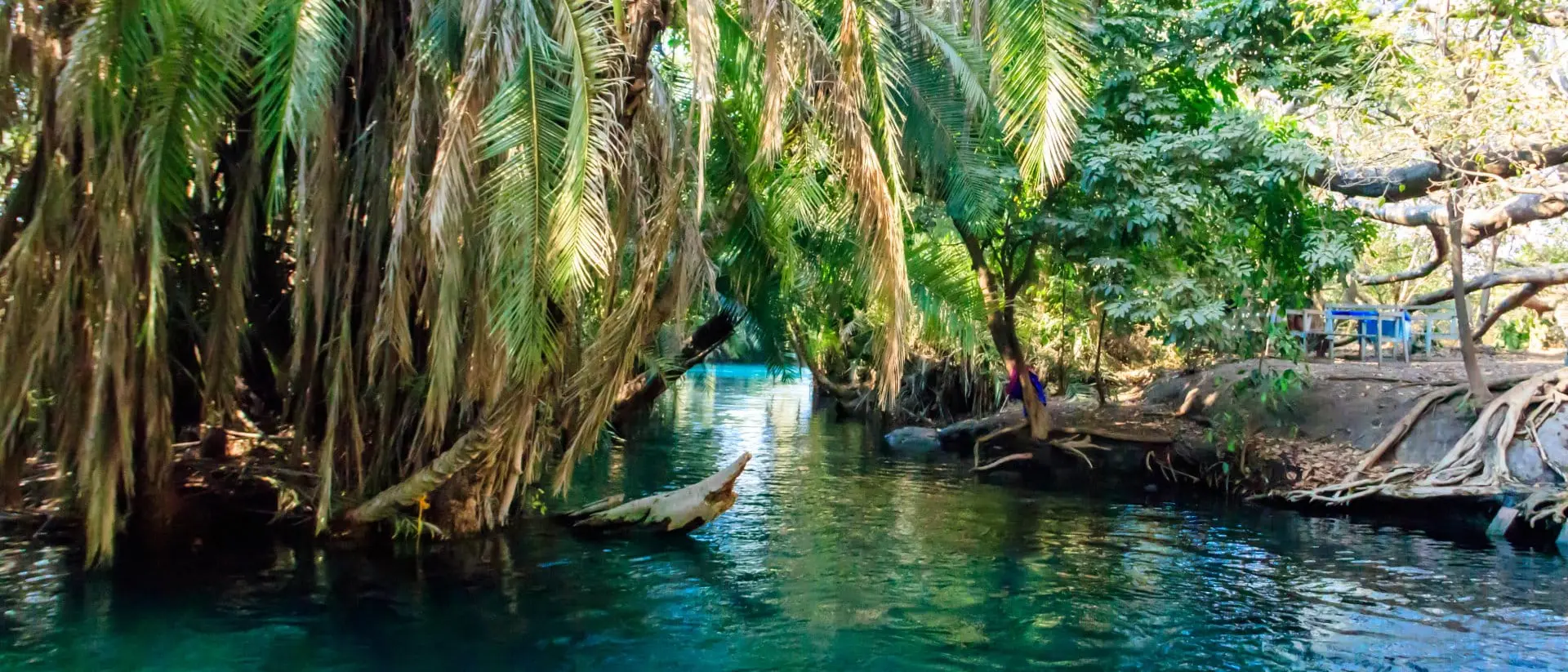Kikuletwa Hot Springs, Moshi, Tanzania The Lush jungle and fresh waters of the Kikuletwa hot springs