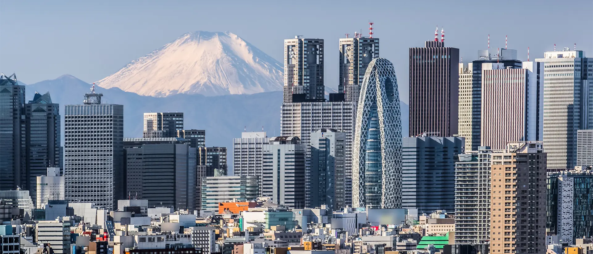 Tokyo Shinjuku Tokyo Shinjuku