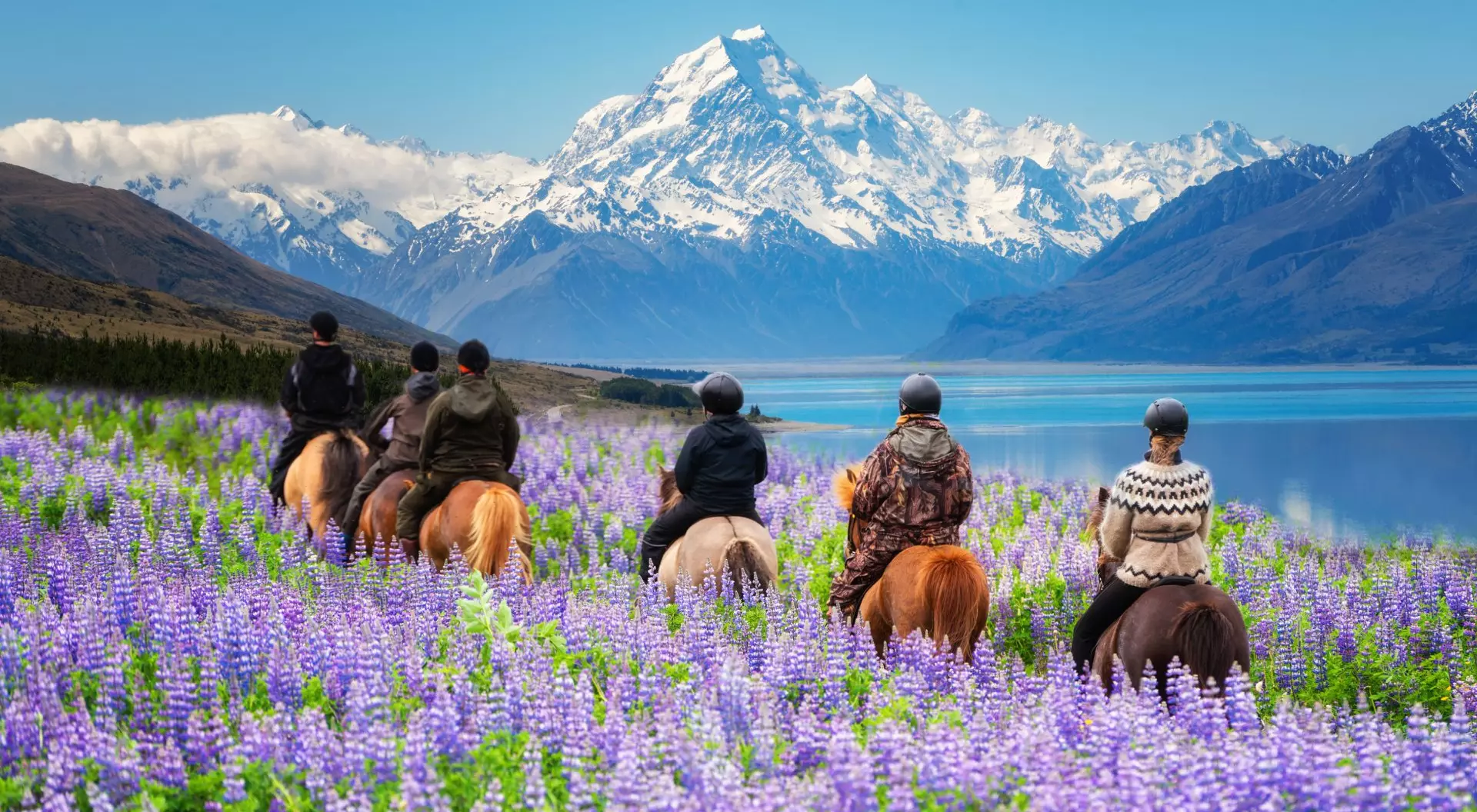 Travel with a group