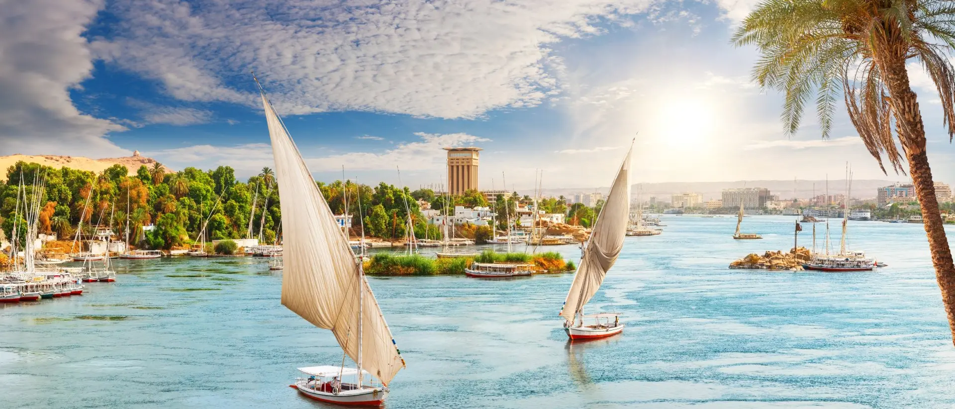 View of the Nile, feluccas and the palms, Aswan City, Egypt.
