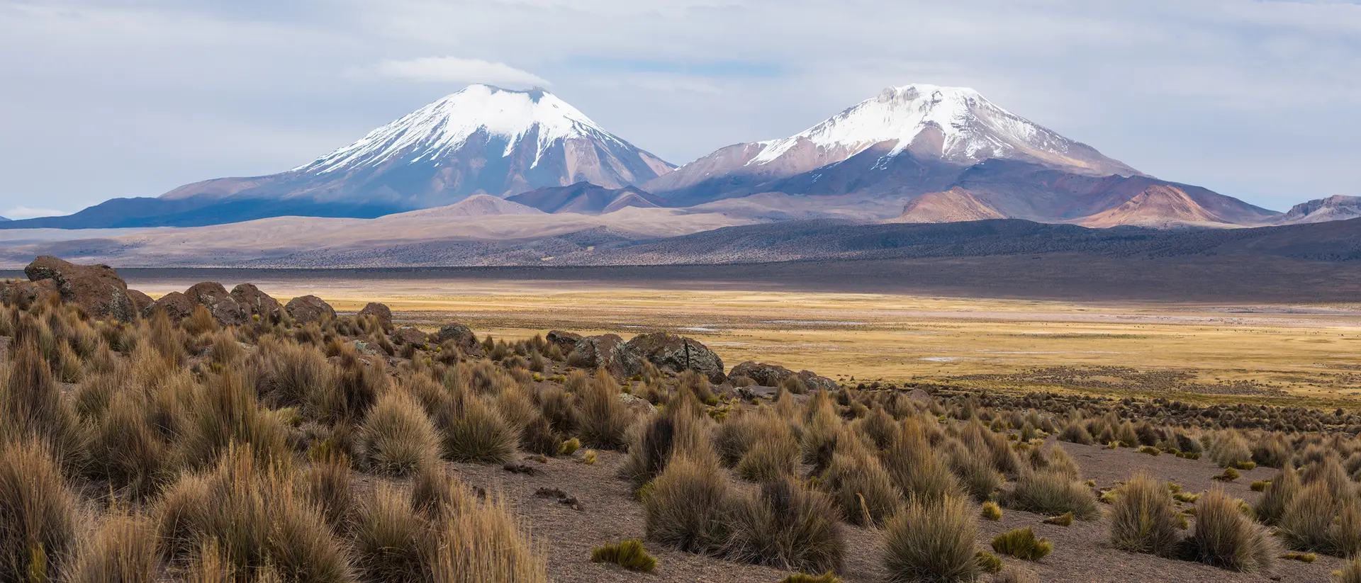 Volcano Nevado Sajama, Bolivia