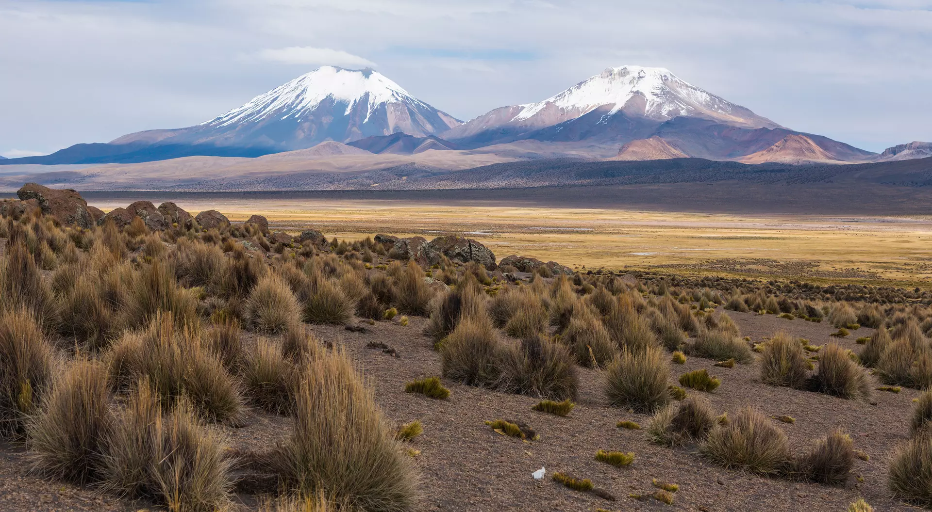 Volcano Nevado Sajama, Bolivia