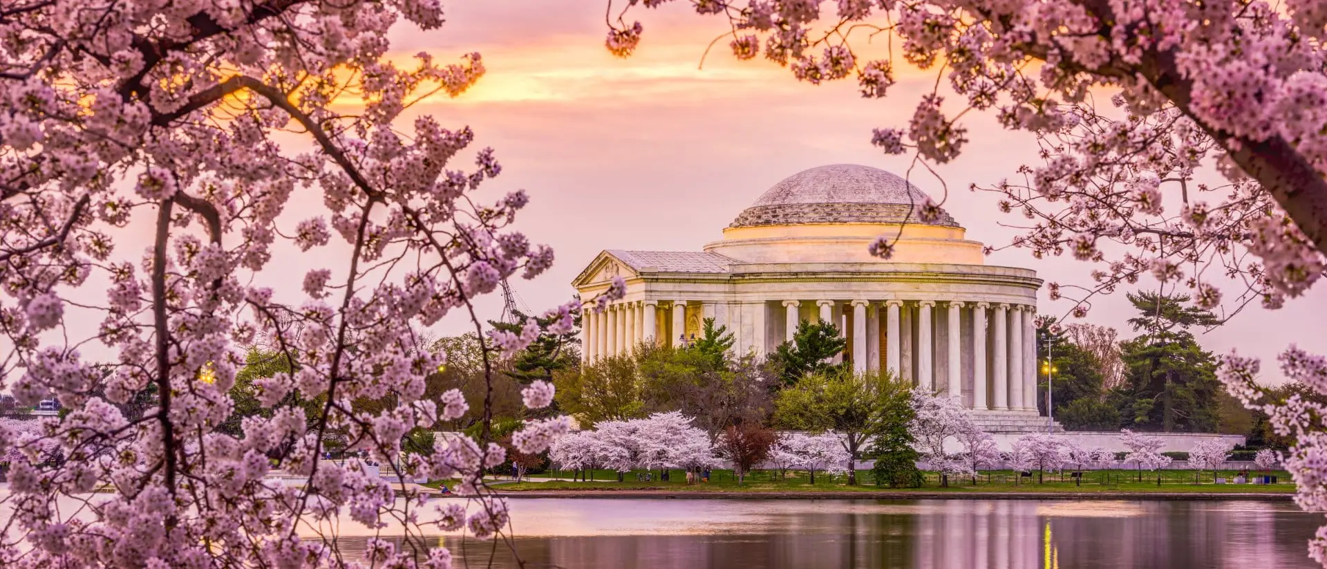 Washington, DC at the Tidal Basin and Jefferson Memorial during the spring cherry blossom season