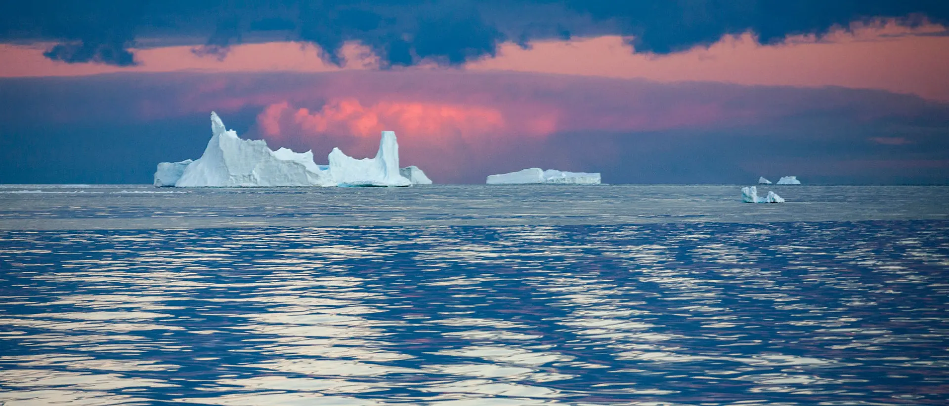 Icebergs in the Drake Passage against a pink sky