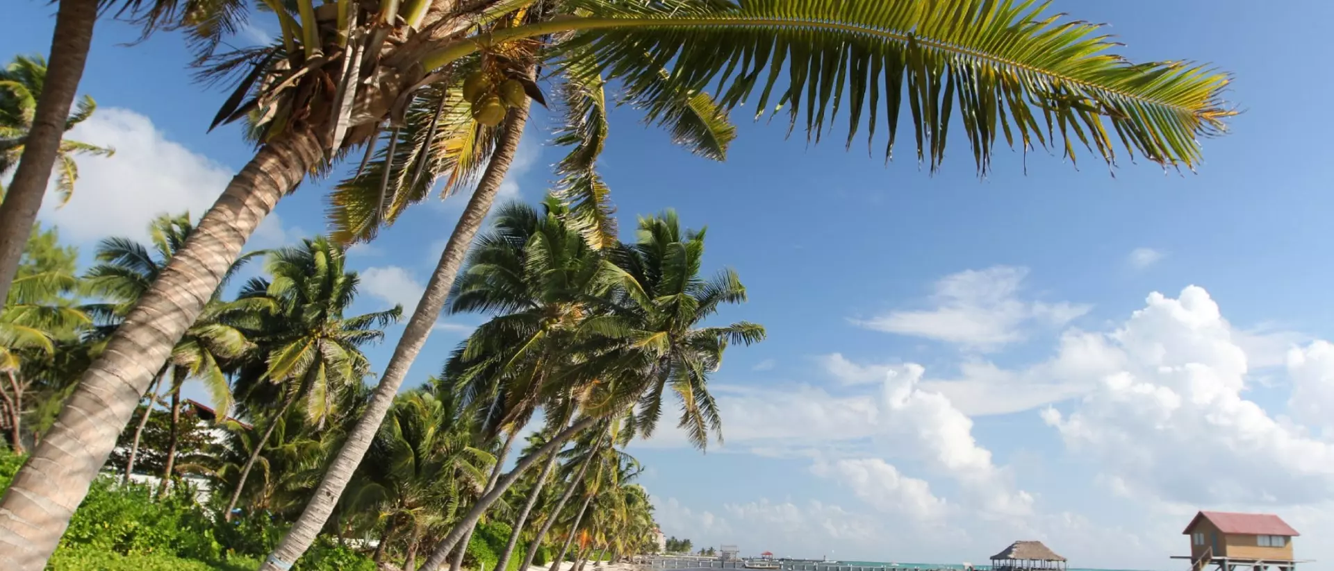 Town on the southern part of the island of Ambergris Caye in the Belize