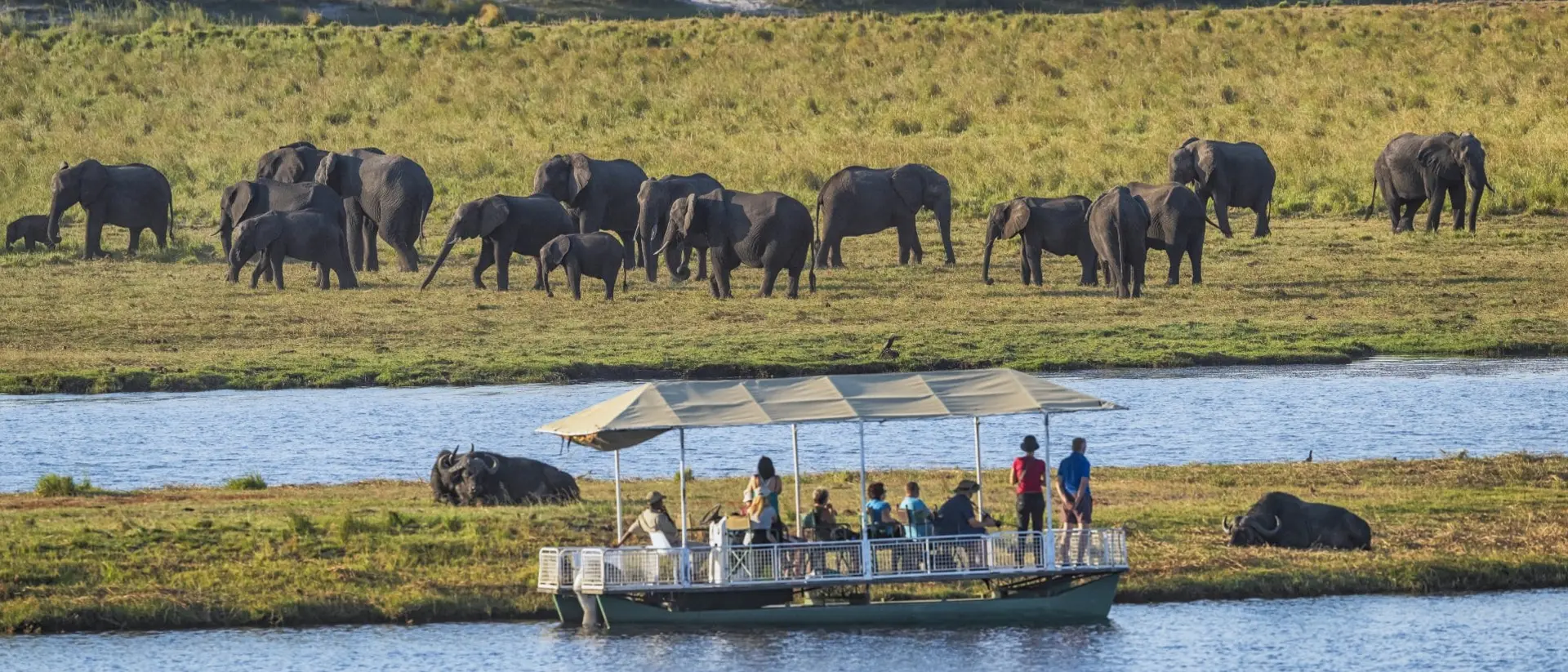 Safari tourists in a boat at watching a herd of Elephants