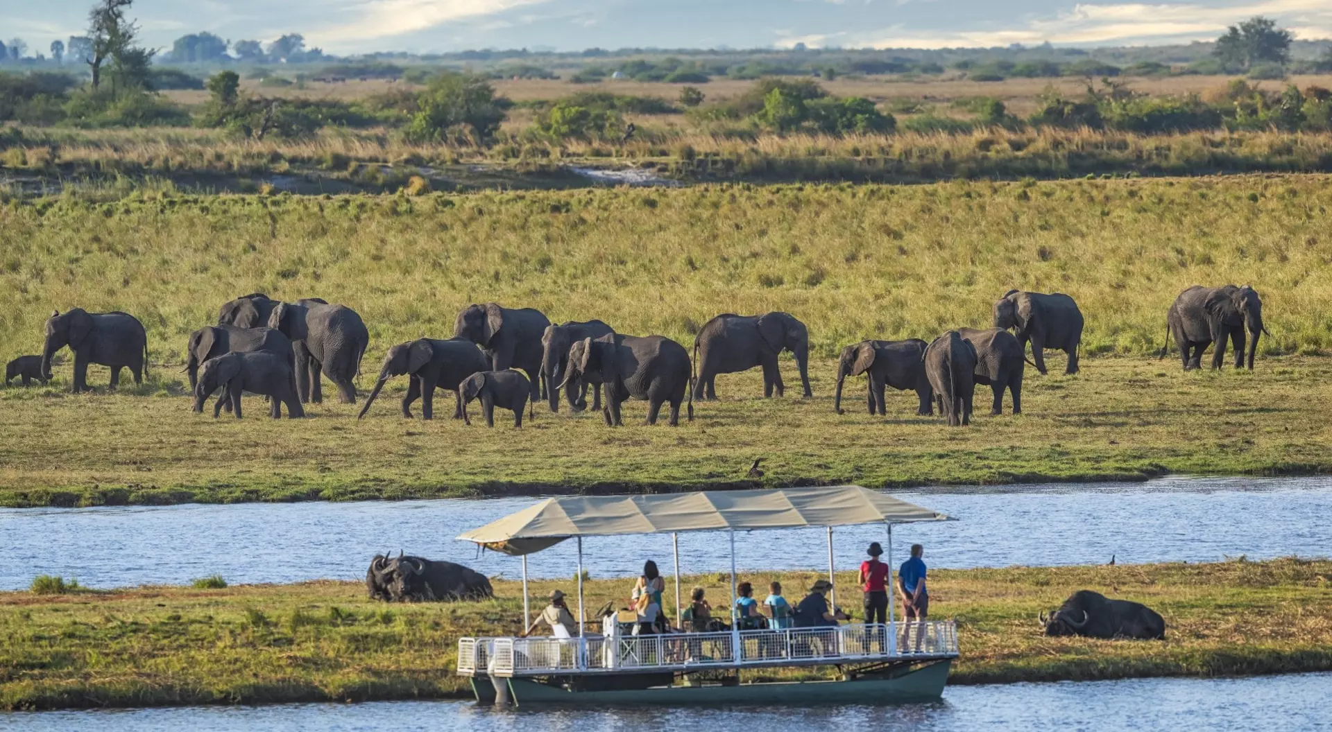 Safari tourists in a boat at watching a herd of Elephants