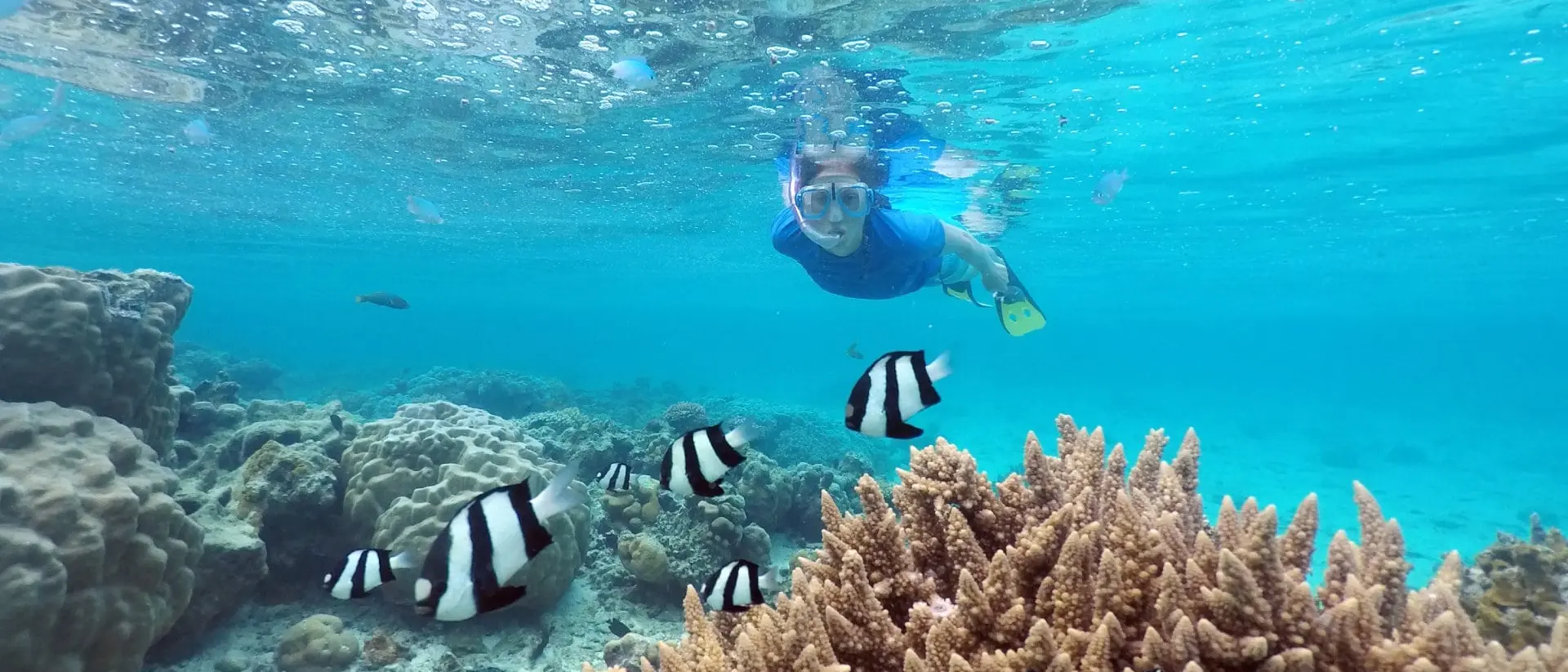 Woman snorkelling