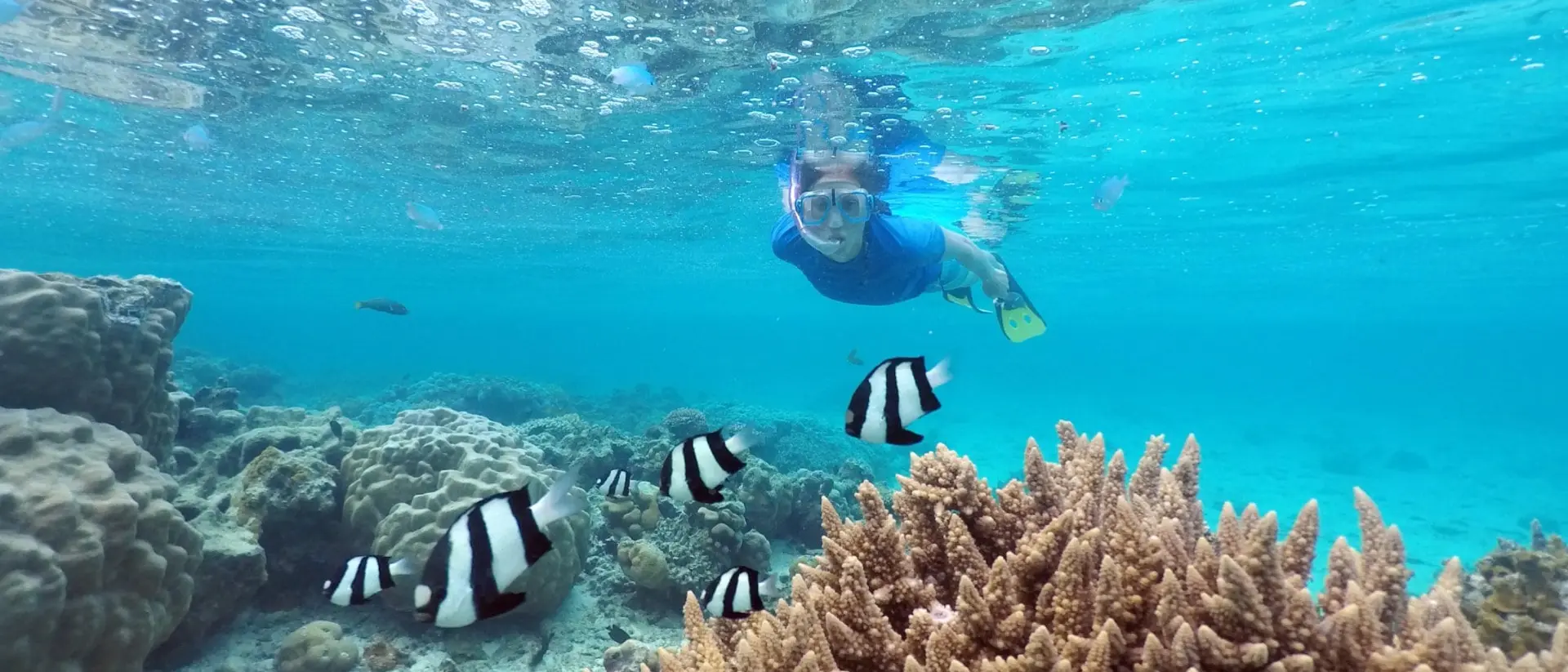 Woman snorkelling