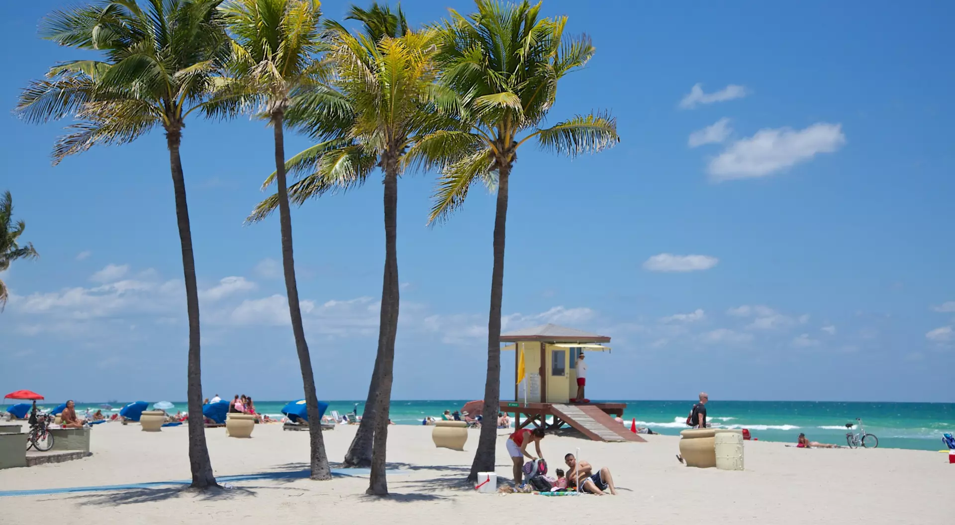 Idyllic beach scene with palm trees, turquoise water and clear, sunny skies.
