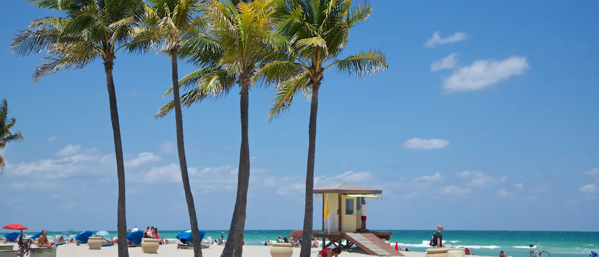 Idyllic beach scene with palm trees, turquoise water and clear, sunny skies.