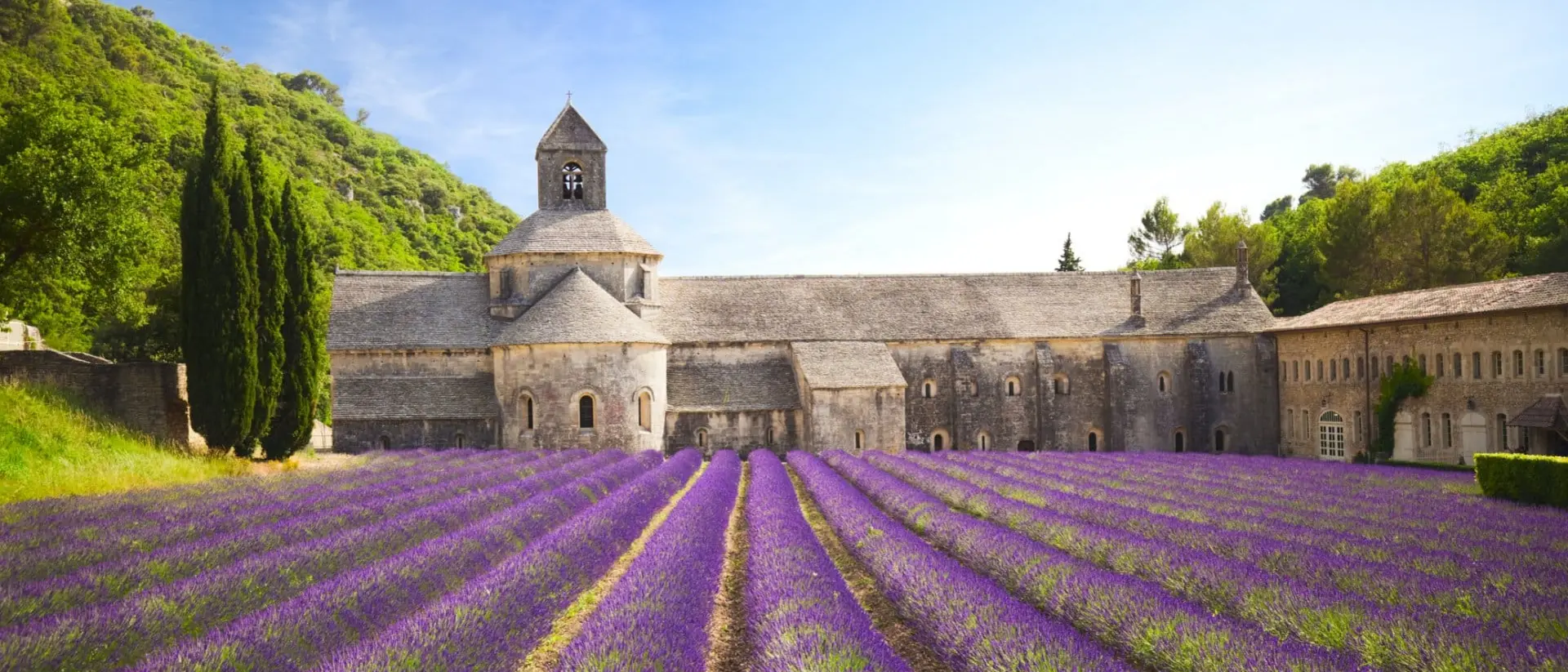 Senanque Abbey with blooming lavender field