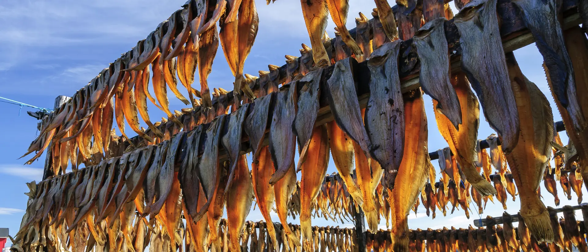 Dried fish in Rodebay settlement