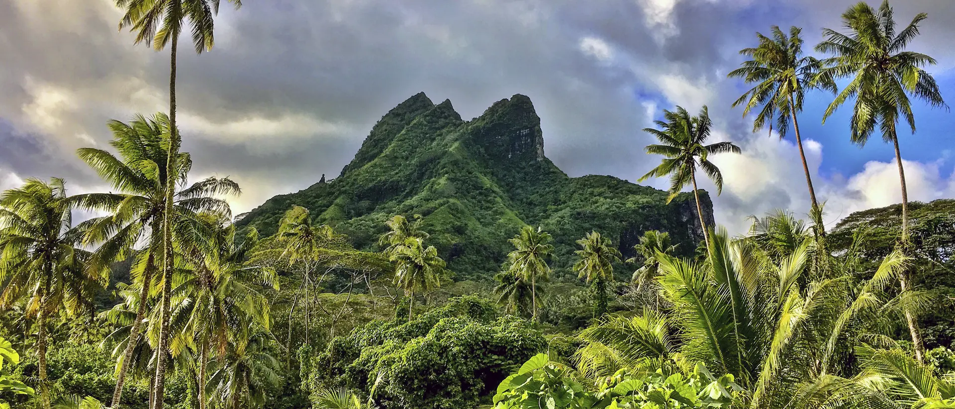 Tall coconut palms and an ancient extinct volcano