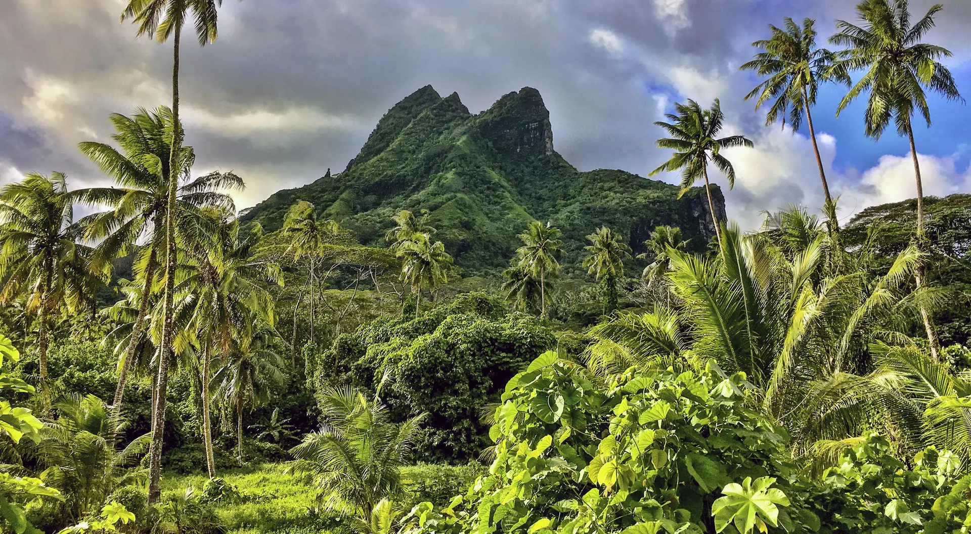 Tall coconut palms and an ancient extinct volcano