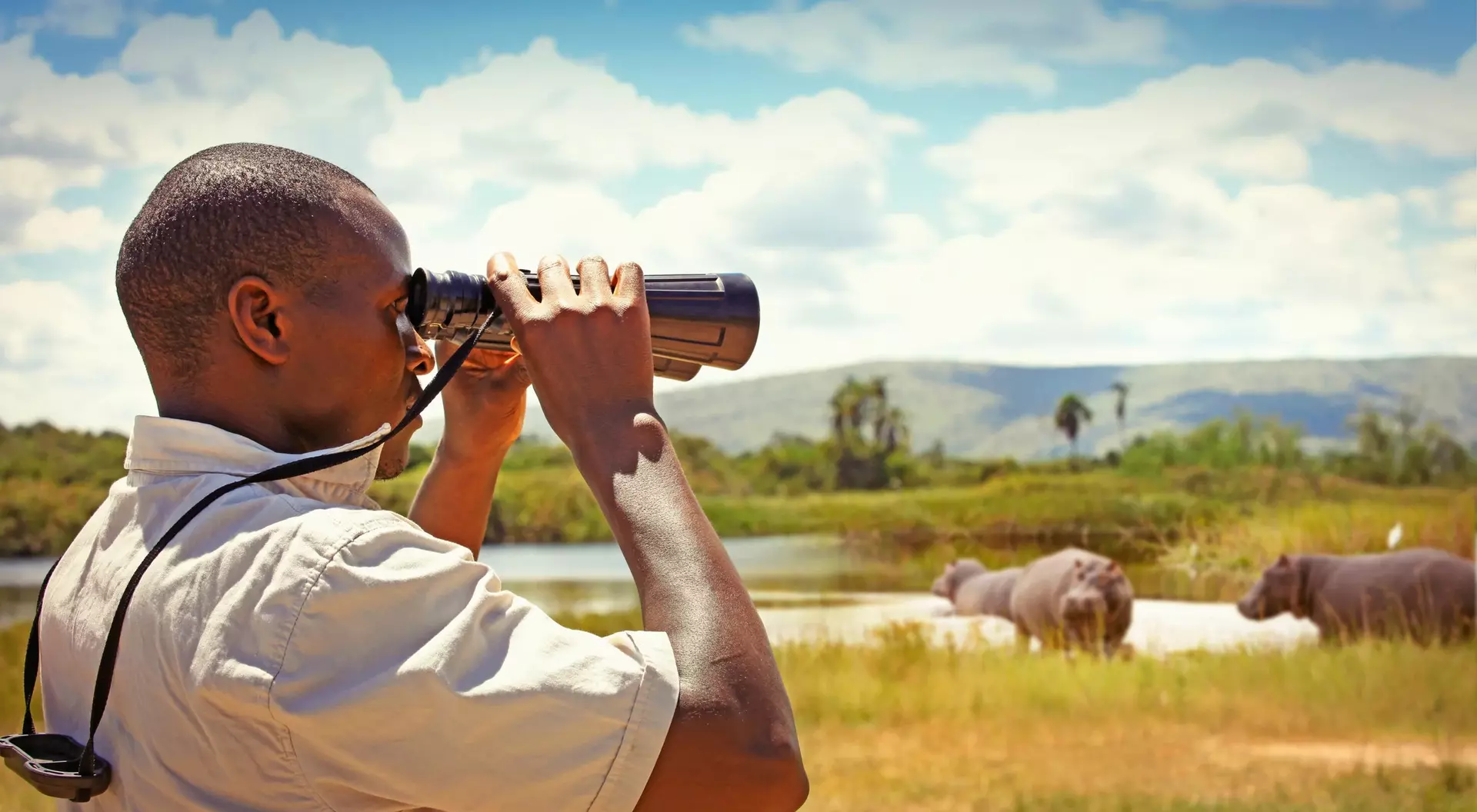 A man uses binoculars to observe elephants in a natural landscape under a clear sky.