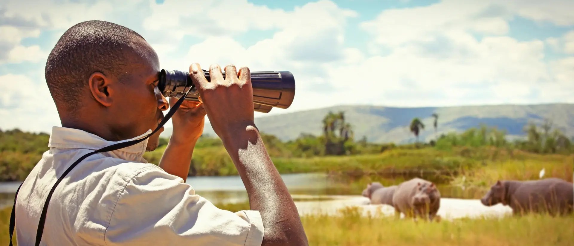 A man uses binoculars to observe elephants in a natural landscape under a clear sky.