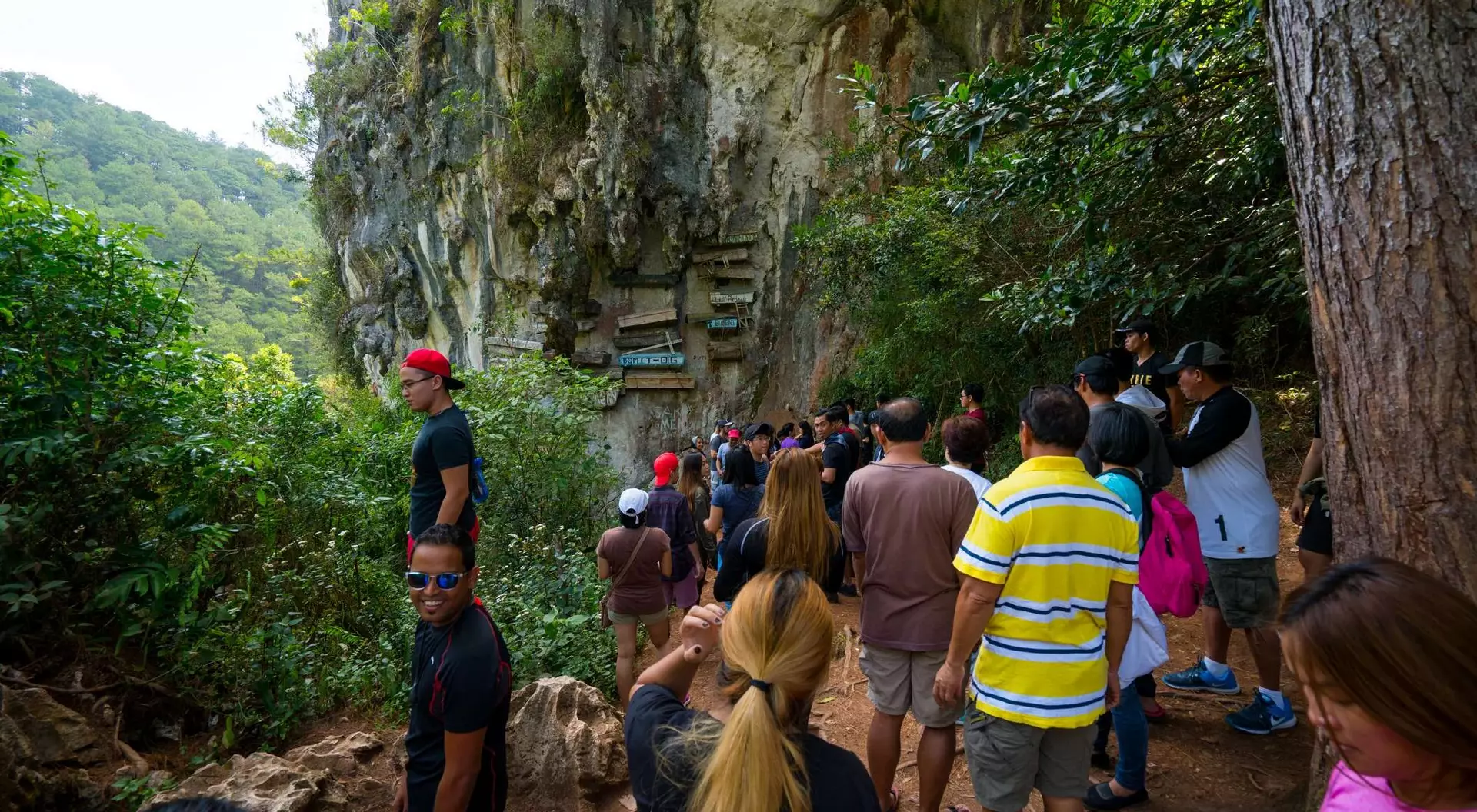 A crowd of people gathered near a rocky cliff surrounded by trees and greenery.