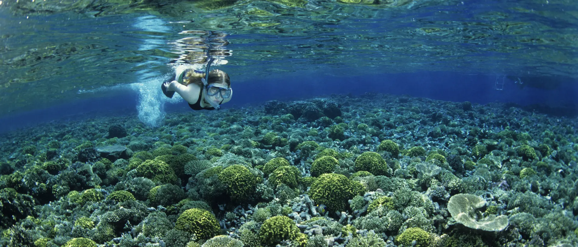 A person swims above a vibrant coral reef in clear blue water.