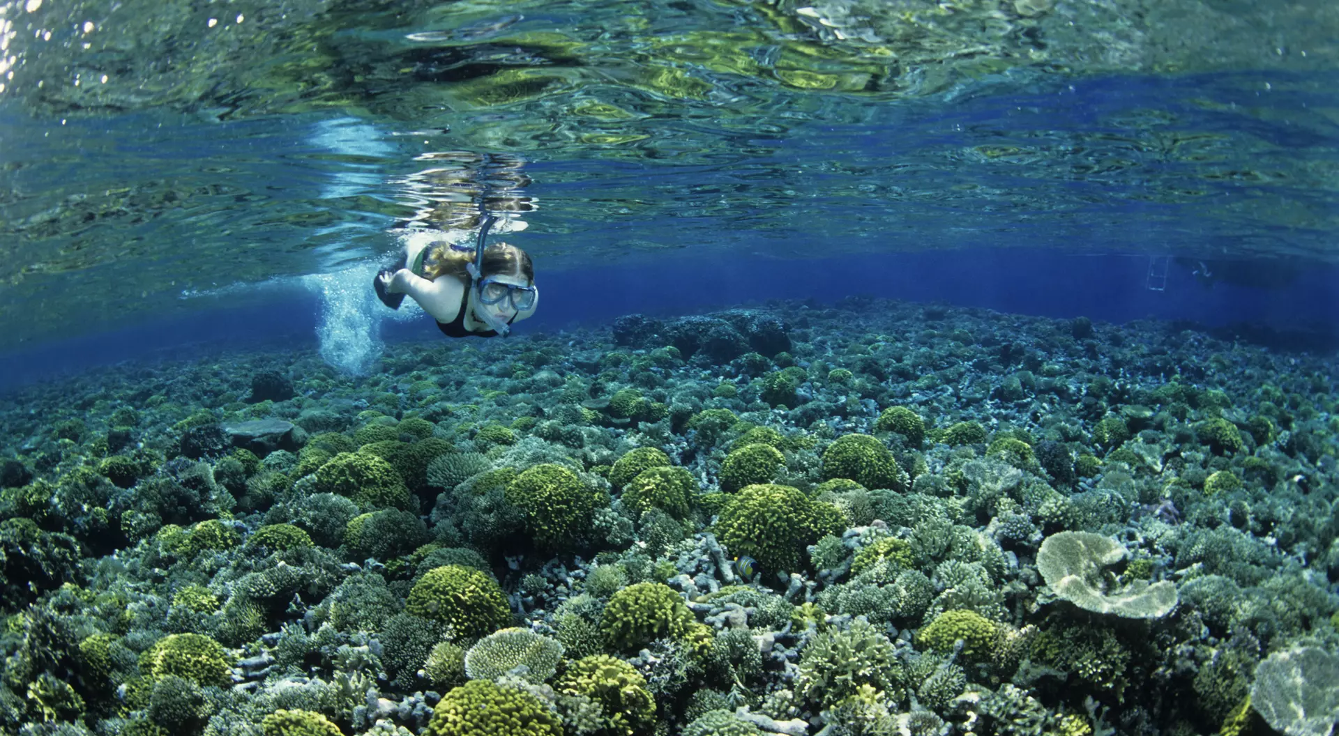 A person swims above a vibrant coral reef in clear blue water.