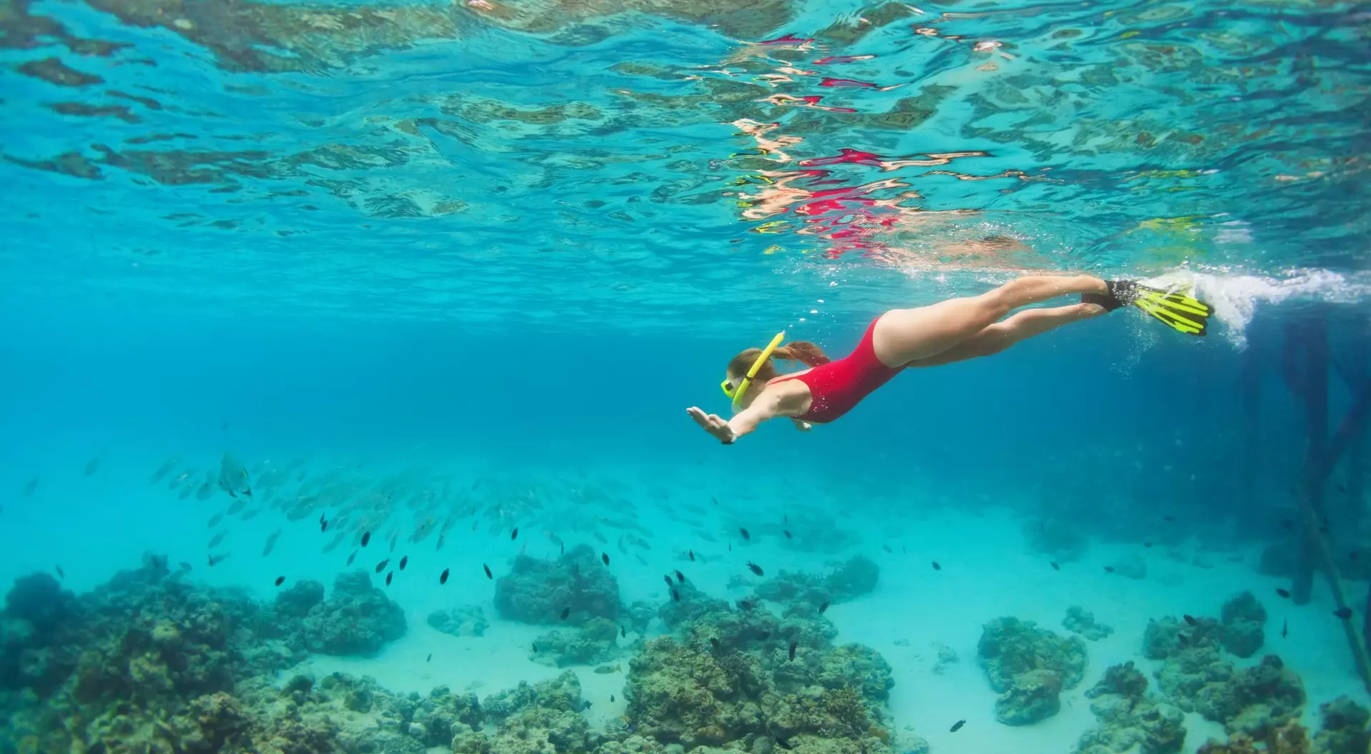 A person in a red swimsuit snorkels underwater above coral and fish in clear blue waters.