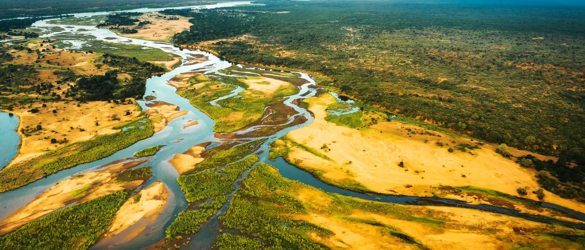 Aerial view of winding rivers through a green and golden landscape under a blue sky.