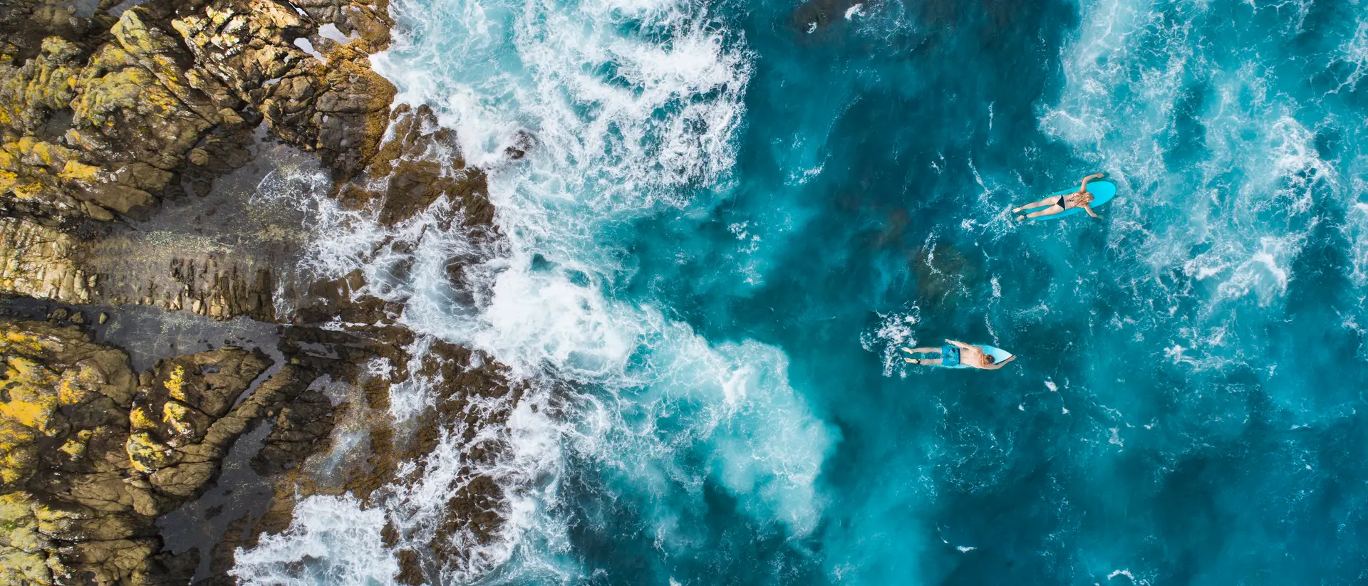Aerial shot of surfers paddling over blue waters