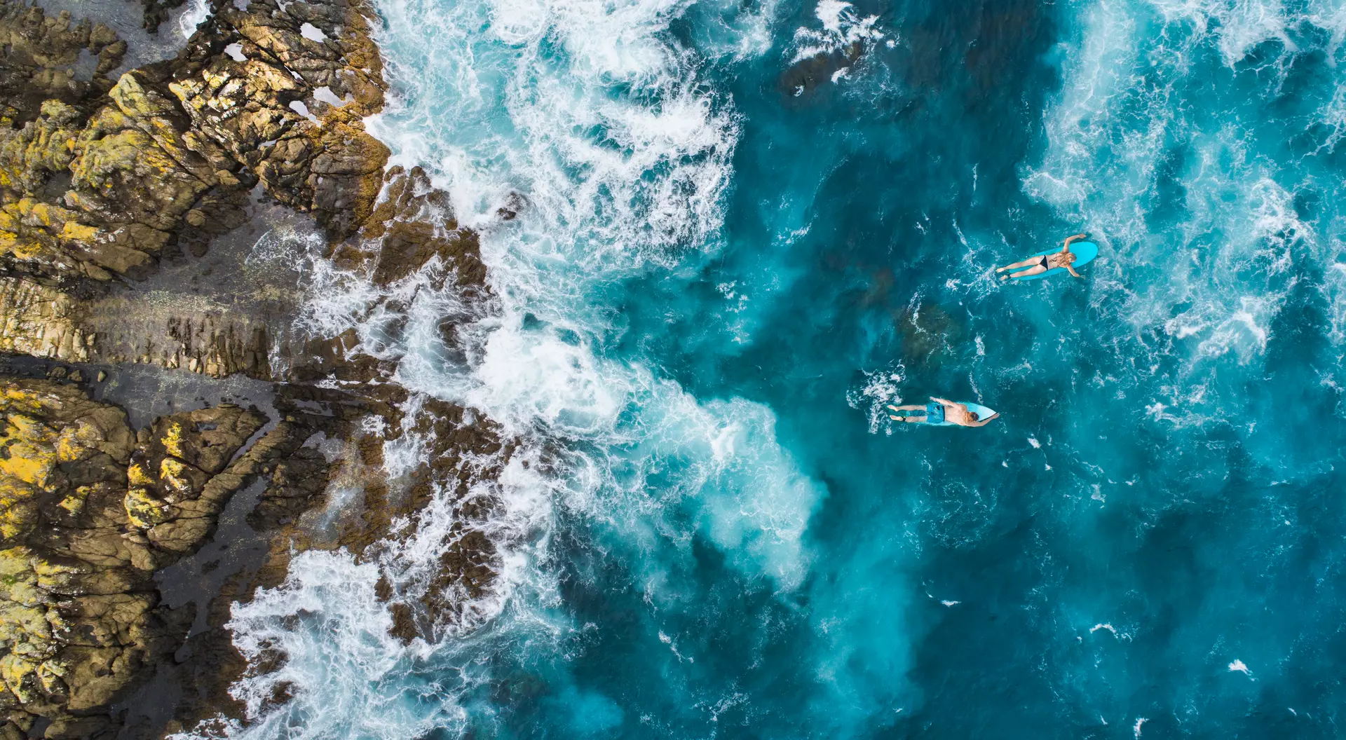 Aerial shot of surfers paddling over blue waters