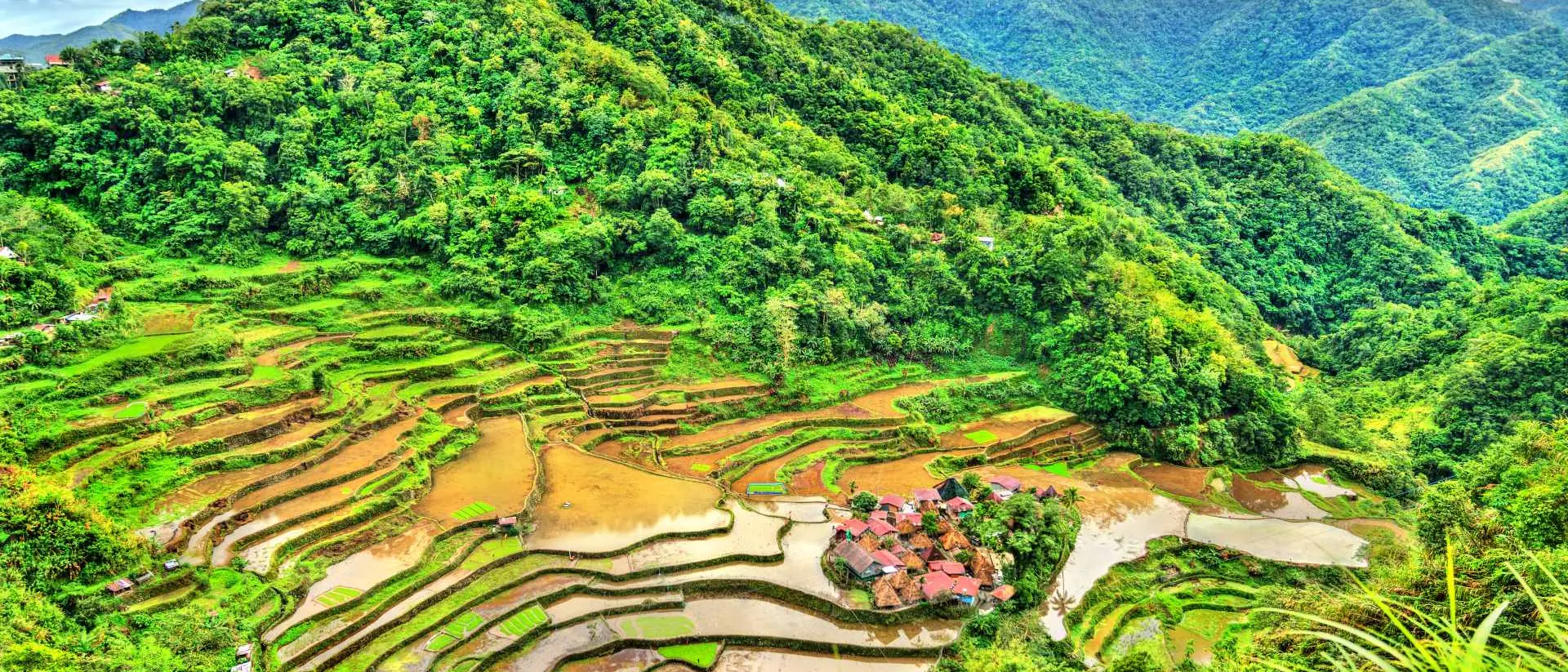 Rice Terraces with rolling mountains in the background