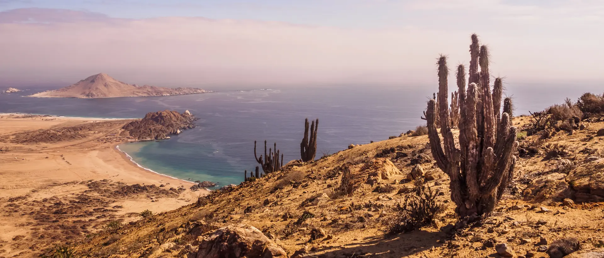 Pan de Azucar National Park Coast of Pan de Azucar National Park in Chile. Atacama desert with ocean coast and cactus. desert landscape