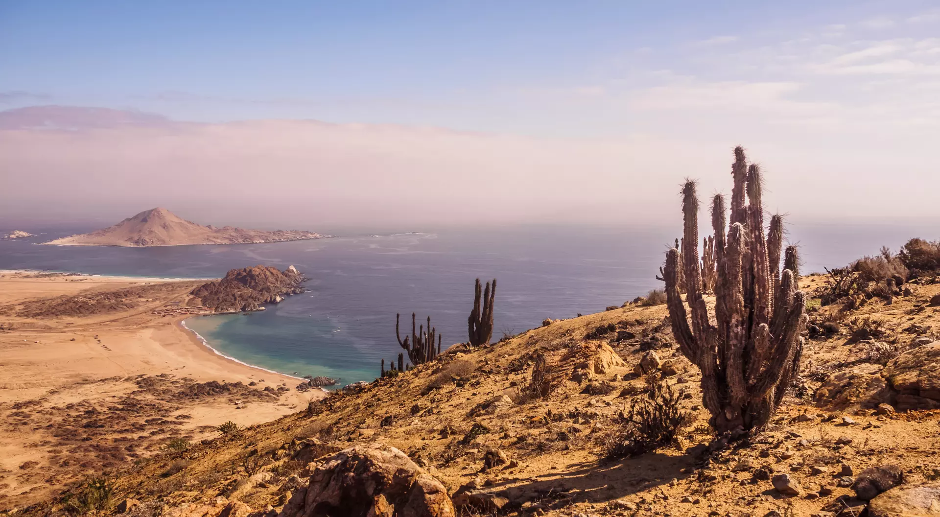 Pan de Azucar National Park Coast of Pan de Azucar National Park in Chile. Atacama desert with ocean coast and cactus. desert landscape