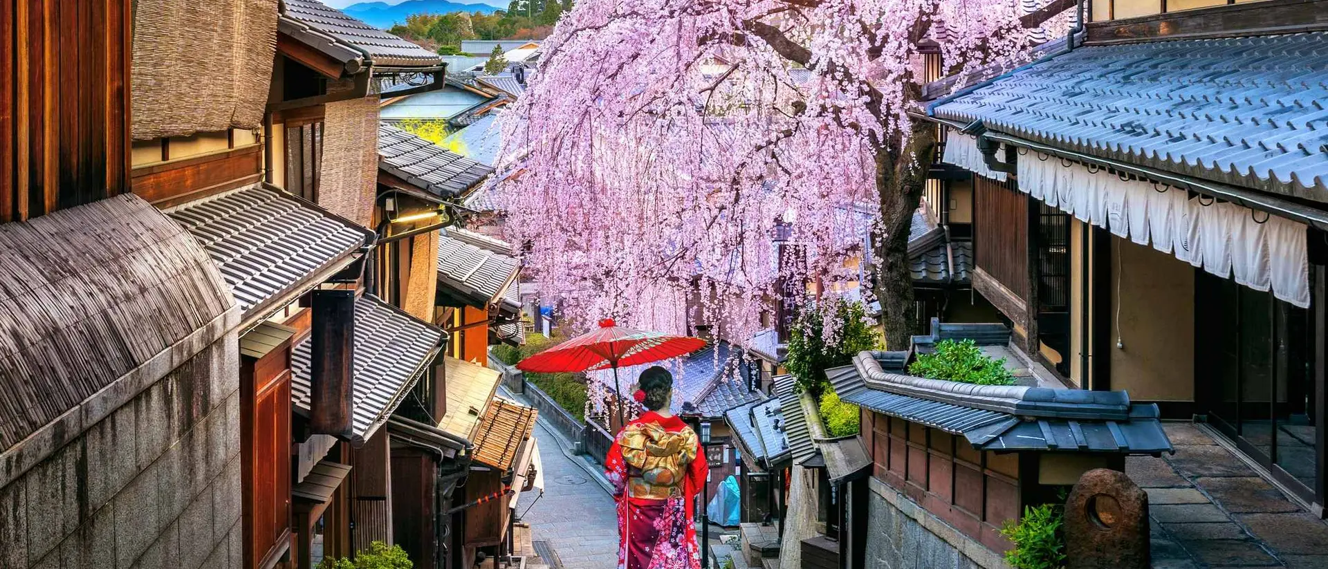 A person in a colorful kimono walks down a historic street with cherry blossoms and a sunset in the background.