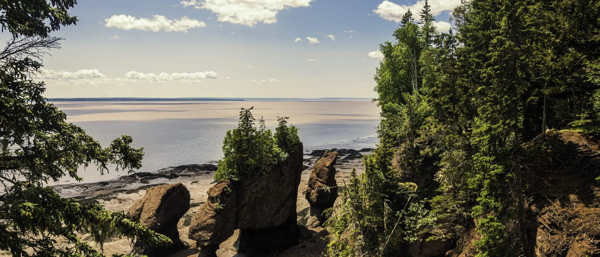 Bay of Fundy Hopewell Rocks, standing 40–70 feet tall, located on the shores of the upper reaches of the Bay of Fundy
