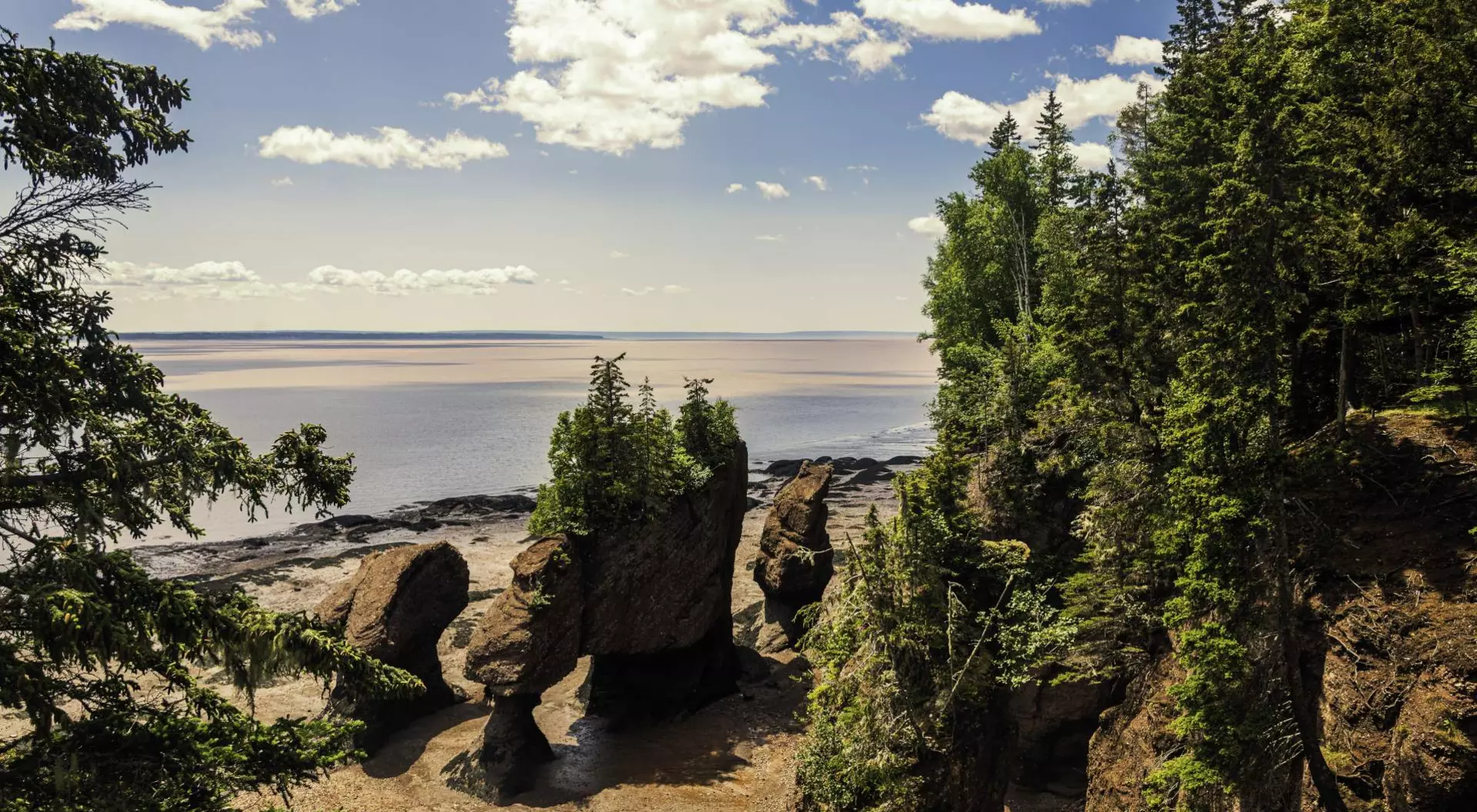 Bay of Fundy Hopewell Rocks, standing 40–70 feet tall, located on the shores of the upper reaches of the Bay of Fundy