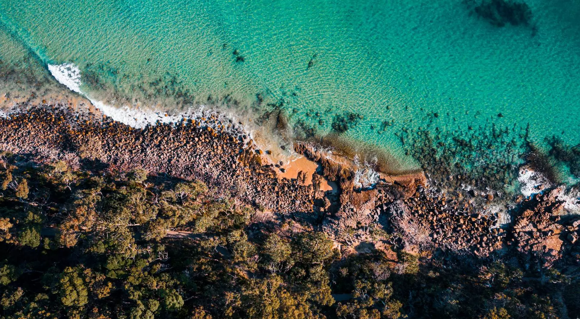 Noosa National Park Aerial view showcasing the stunning natural beauty of Noosa, Australia