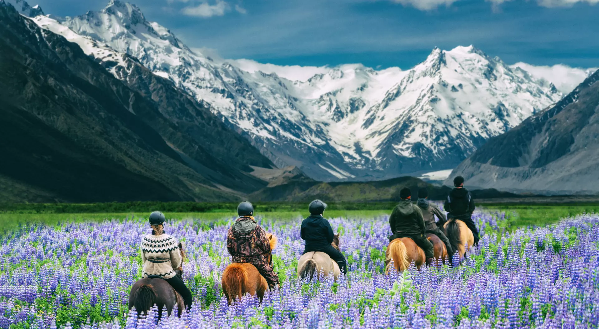 Six riders on horseback navigate through a field of purple flowers, with snow-capped mountains in the background.