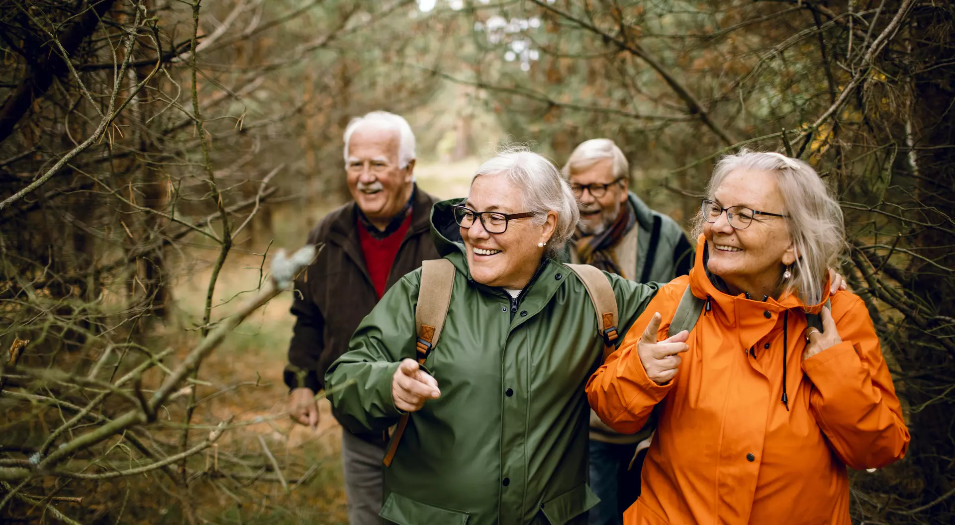 Four seniors walking through a forest, smiling and enjoying their time together, wearing colorful outdoor clothing.