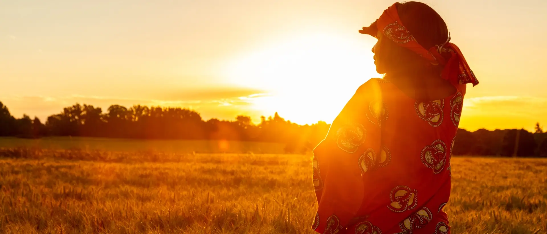 A silhouette of a person in a red outfit stands in a golden field at sunset, with trees in the background.