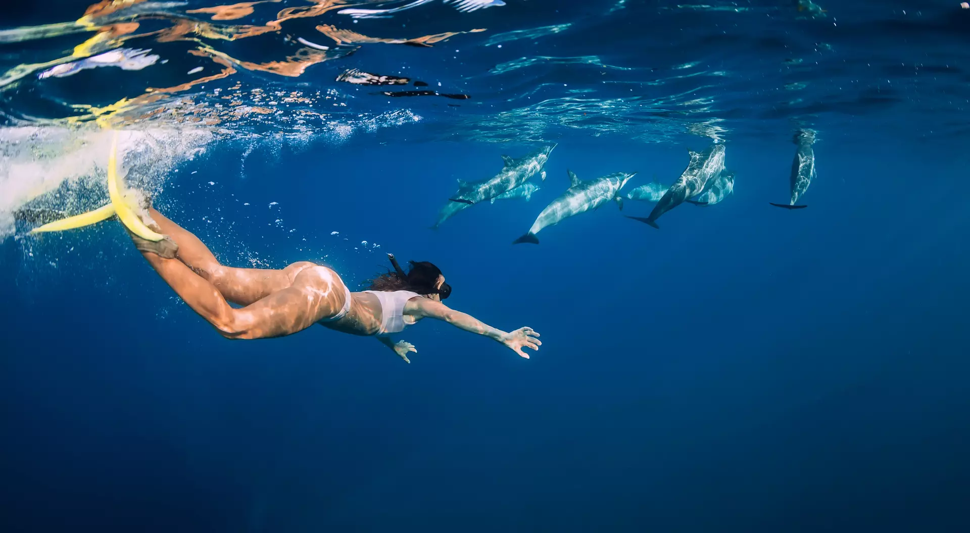 A person swims underwater, reaching out towards a pod of dolphins in clear blue water.