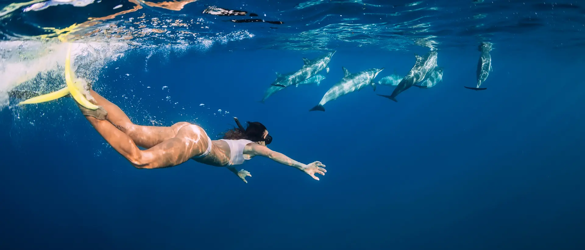 A person swims underwater, reaching out towards a pod of dolphins in clear blue water.