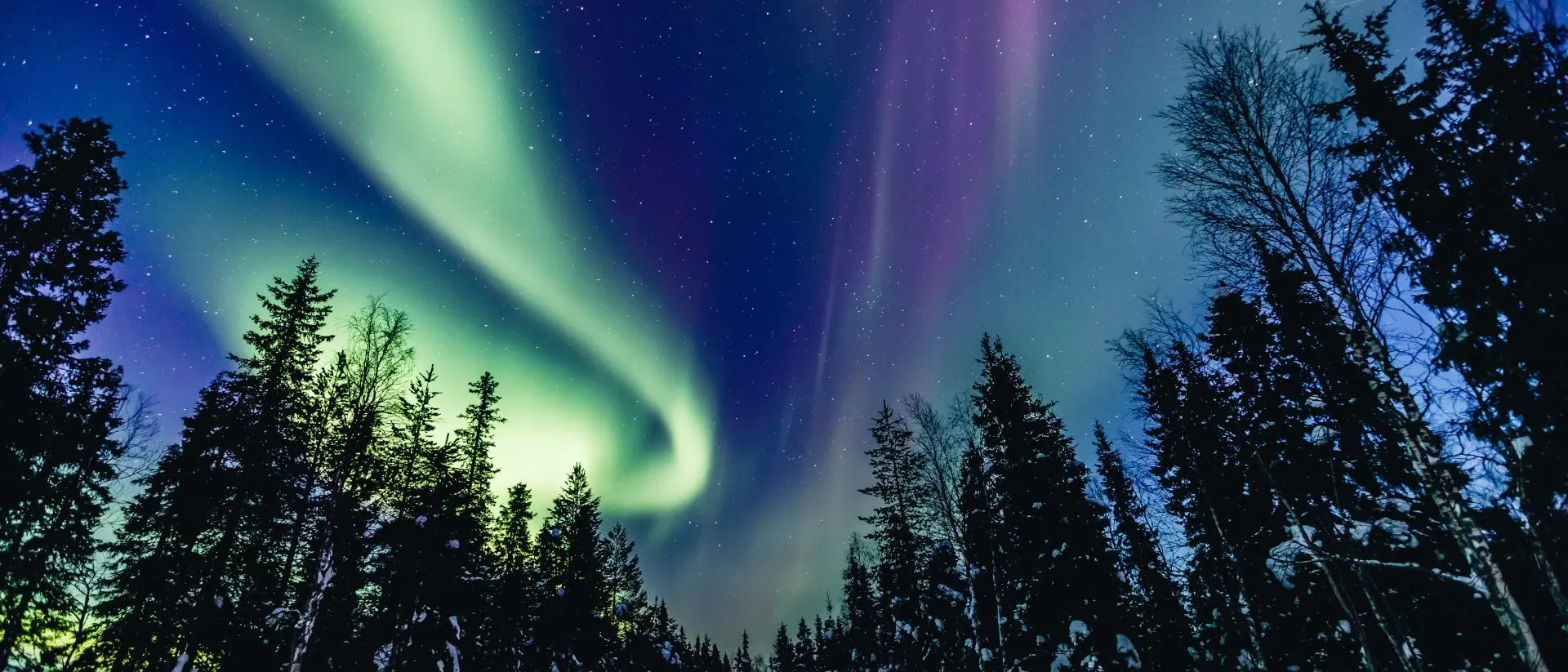 Colorful polar arctic Northern lights Aurora Borealis activity in snow winter forest in Finland, Lapland