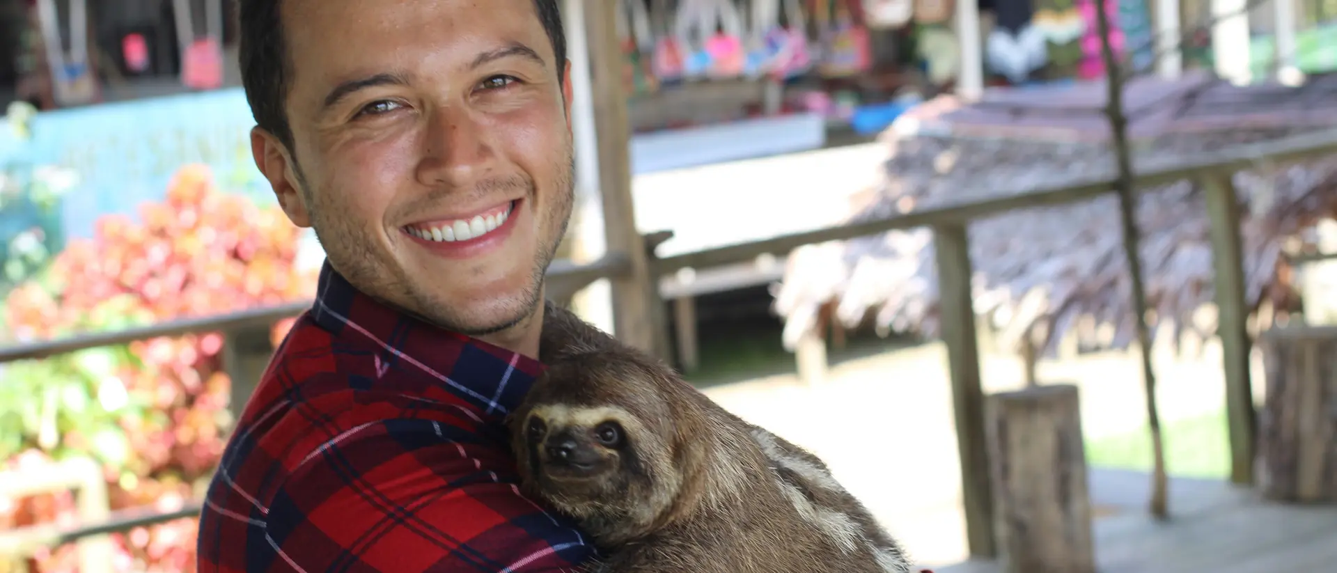 Smiling person in a plaid shirt holds a sloth in their arms, with a colorful background of a shop and plants.