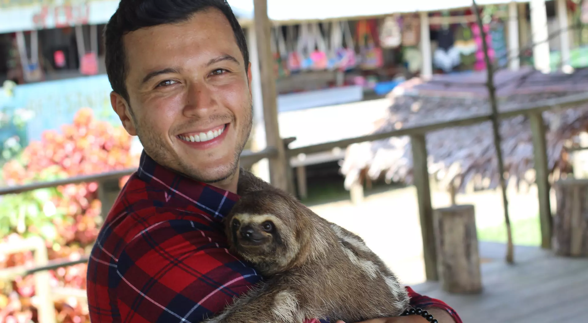 Smiling person in a plaid shirt holds a sloth in their arms, with a colorful background of a shop and plants.