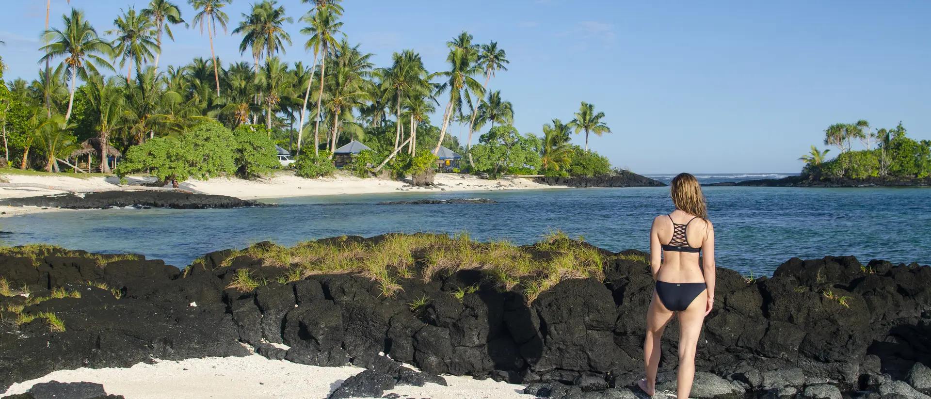 A person stands on a rocky beach, overlooking a tropical landscape with palm trees and calm blue water.